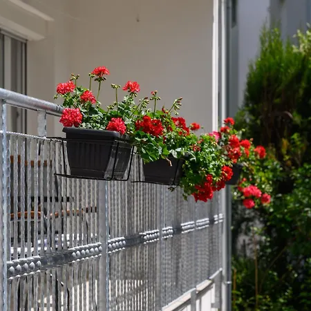 Apartament Suden